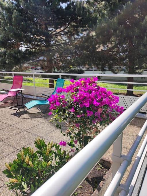 Comme Chez Vous Apartman Strasbourg Kültér fotó